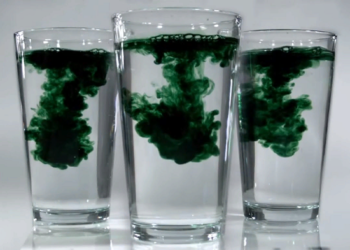 Знакомимся с понятием и свойствами жидкого хлорофилла