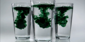 Знакомимся с понятием и свойствами жидкого хлорофилла