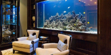 Рекомендации по выбору и уходу за аквариумом