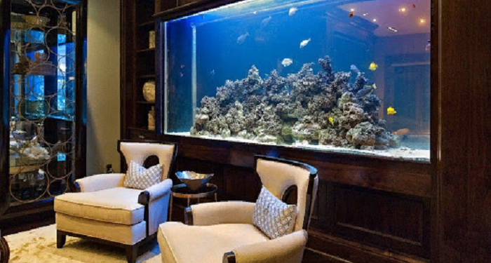 Рекомендации по выбору и уходу за аквариумом