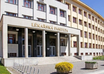 Что нужно и как поступить в медицинский вуз Чехии