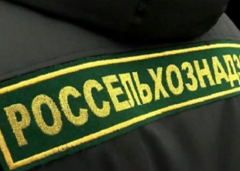 Правила и советы по входу в личный кабинет Меркурия