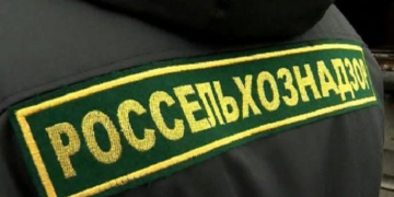 Правила и советы по входу в личный кабинет Меркурия