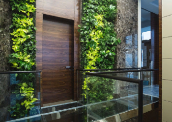 Как сделать зеленую стену в офисном помещении