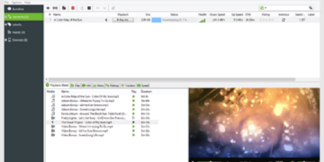 Как скачать программу на торрент и достоинства