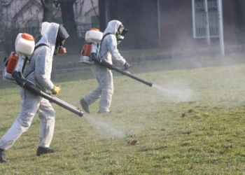 Эффективные методики и правила борьбы с клещами