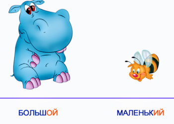 Антонимы — что это такое и как правильно их использовать в разговорной речи?
