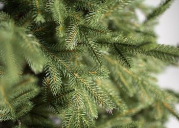 Как выбрать хвою у искусственной елки: рекомендации специалистов