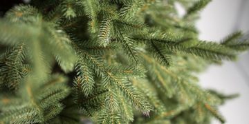 Как выбрать хвою у искусственной елки: рекомендации специалистов