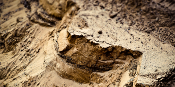 Как определить качество песка: общепринятые нормы и способы оценки