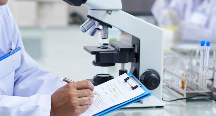 Регистрация медицинских изделий: от подачи заявления до получения каталога