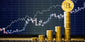 Особенности работы биржи криптовалют и ключевые процессы