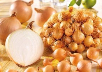 Преимущества посадки лука севка и особенности выращивания