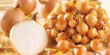 Преимущества посадки лука севка и особенности выращивания