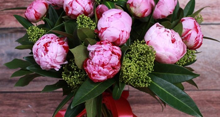 Собираем букет из пионов: советы по составлению композиции