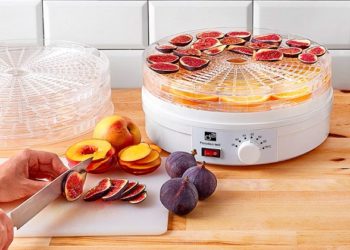 Как выбрать сушилку для овощей и фруктов для бытового использования?