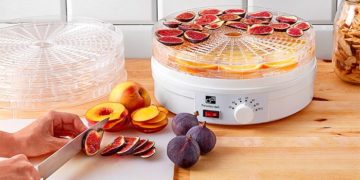 Как выбрать сушилку для овощей и фруктов для бытового использования?