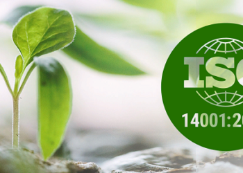 Этапы получения сертификата ISO 14001:2015