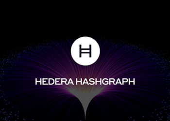 Описание криптовалюты Hedera Hashgraph и ее плюсы