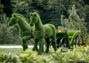 Что такие топиарные фигуры и правила их создания