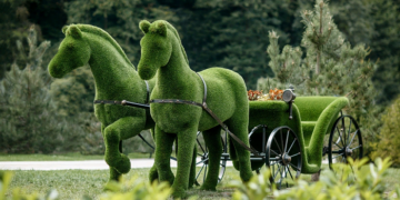 Что такие топиарные фигуры и правила их создания