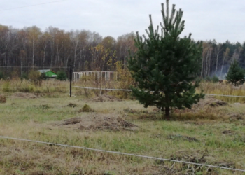 Выбираем красивый участок на Симферопольском шоссе