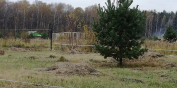 Выбираем красивый участок на Симферопольском шоссе