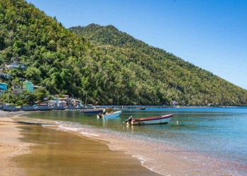 Преимущества получения инвесторами гражданства в Доминике