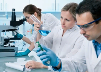 Как оформить паспорт безопасности химической продукции