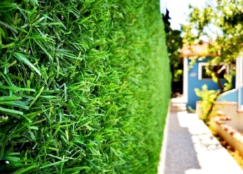 Правила и этапы установки зеленого забора в доме