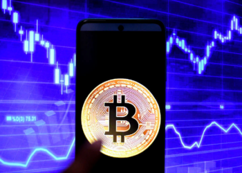 Развитие криптовалюты на мировом рынке в 2022 году