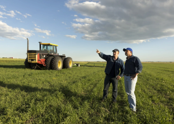 Развитие и создание бизнеса на сельском хозяйстве