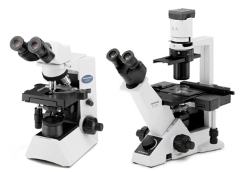Электронный микроскоп: достоинства и правила пользования