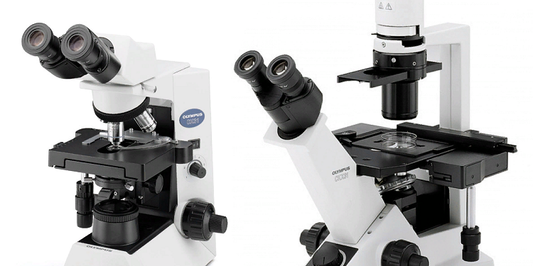 Применение и особенности электронного микроскопа