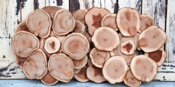 Как сделать подставку под горячее из дерева и советы