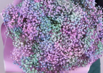 Интересные идеи оформления букета из гипсофилы