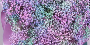 Интересные идеи оформления букета из гипсофилы