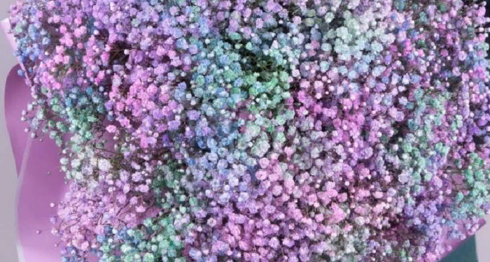 Интересные идеи оформления букета из гипсофилы