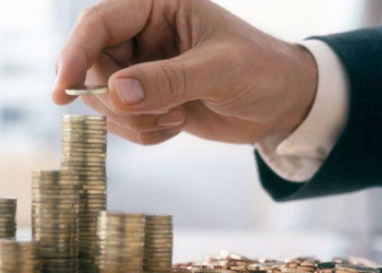 Инвесторы в бизнесе: функции и обязательства