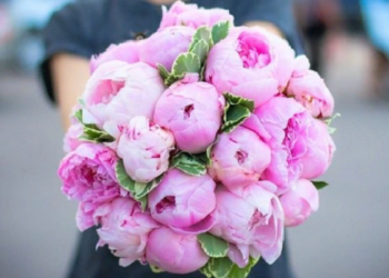 Букет из пионов: идеи оформления и советы