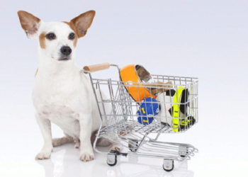 Главные достоинства покупки зоотоваров от магазина Гомеовет