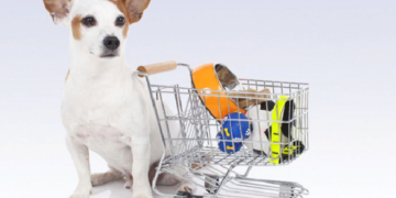 Главные достоинства покупки зоотоваров от магазина Гомеовет