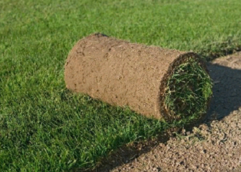 Технология укладывания газона своими руками