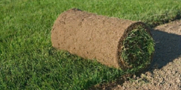 Технология укладывания газона своими руками