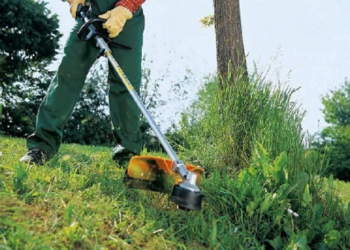 Покос травы: правила и основные способы