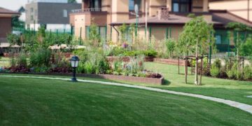 Проектирование и разработка ландшафтного дизайна