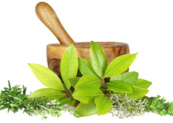 Чим можуть допомогти аюрведичні препарати для організму