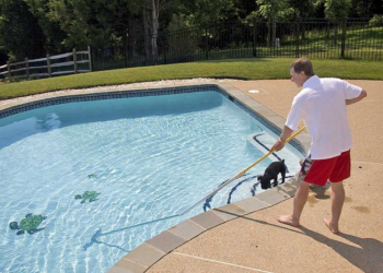 Что нужно знать об уходе за садовым бассейном