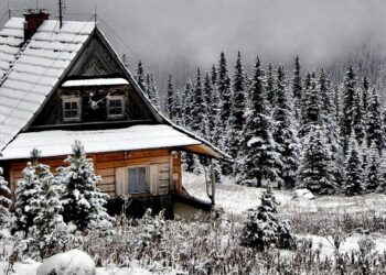 Що потрібно, щоб жити взимку на дачі та основні поради