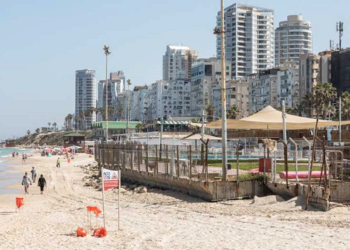 В Ришон ле-Ционе запустили автобусный маршрут по содействию Максима Бабицкого